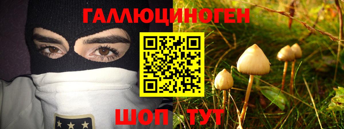 Псилоцибиновые грибы мухоморы  Вход с VPN  Ачинск 